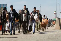 سازمان ملی مهاجرت تشکیل می‌شود
