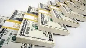 تمهیدات جدید برای رفع تعهد ارزی دریافت‌کنندگان ارز ترجیحی

