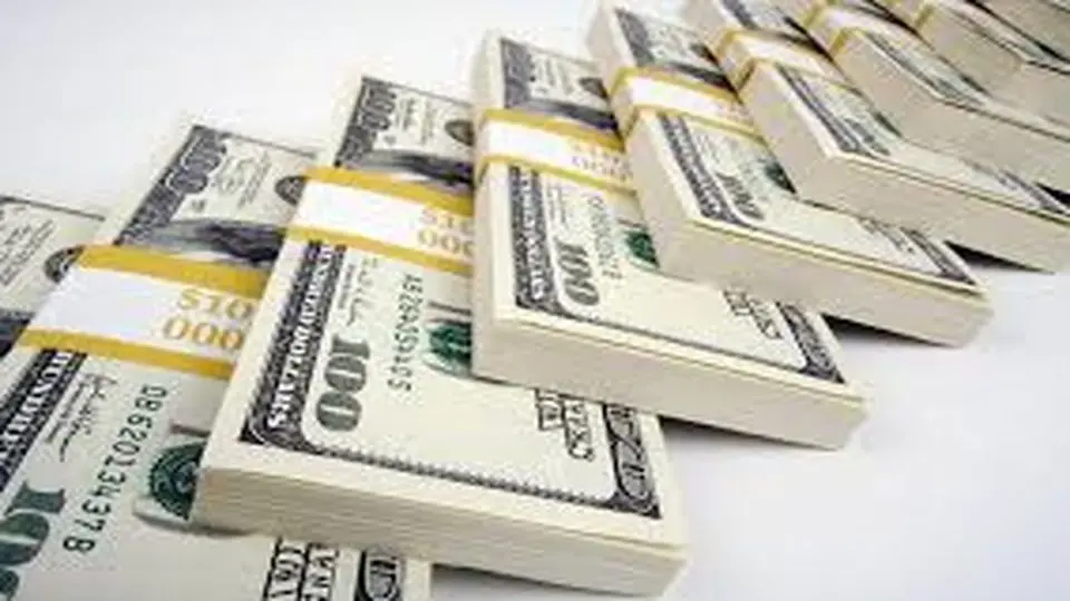 تمهیدات جدید برای رفع تعهد ارزی دریافتکنندگان ارز ترجیحی