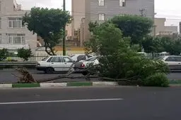 اورژانس به حالت آماده‌باش درآمد