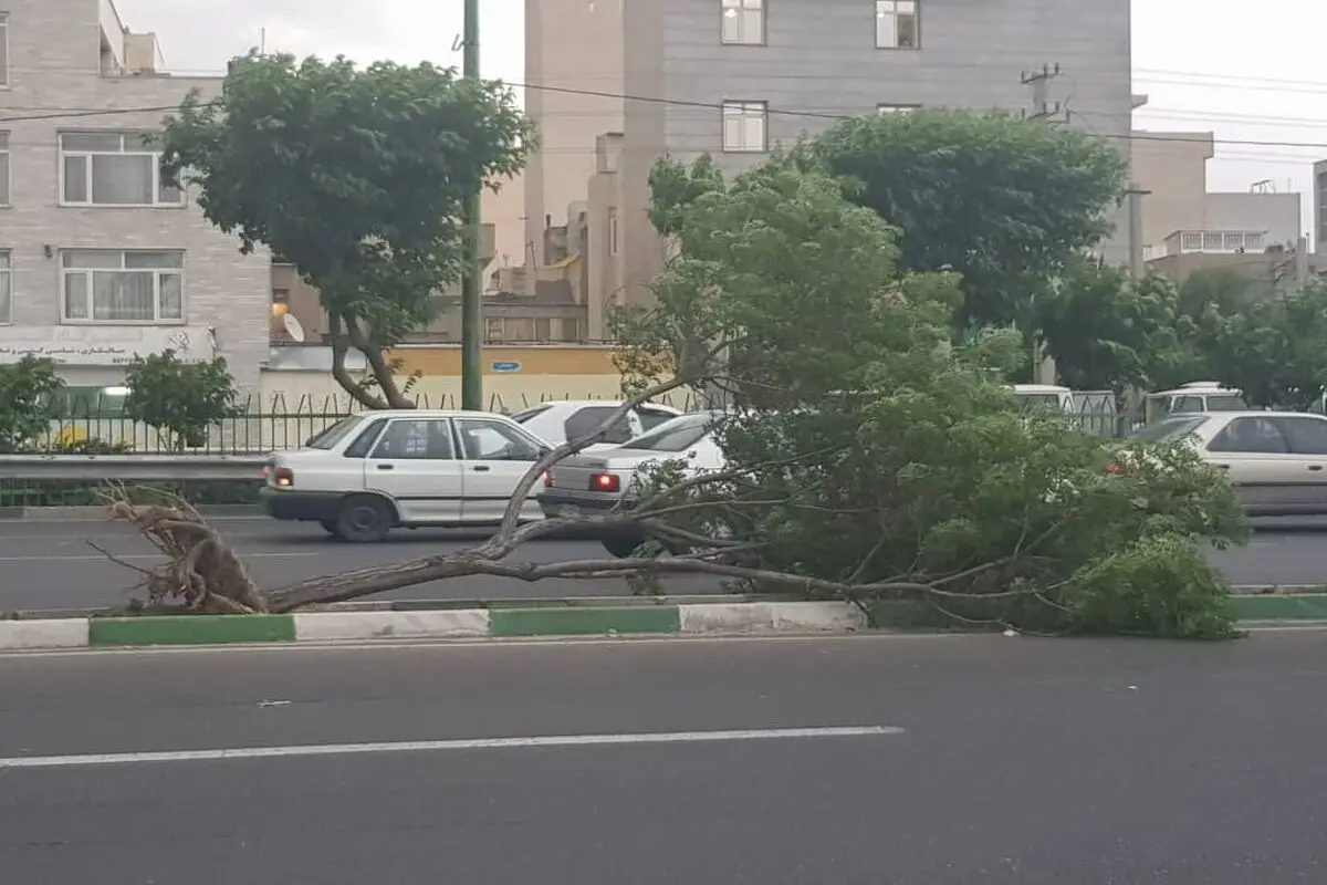 اورژانس به حالت آماده‌باش درآمد