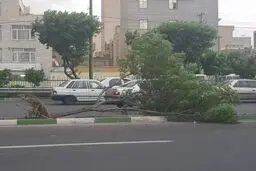 اورژانس به حالت آماده‌باش درآمد
