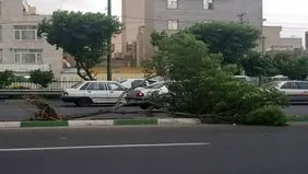 اورژانس به حالت آماده‌باش درآمد