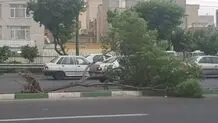 اورژانس به حالت آماده‌باش درآمد