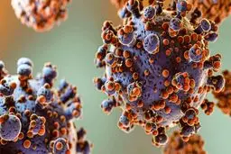 آخرین وضعیت آنفلوآنزا و کرونا در کشور