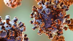 آخرین وضعیت آنفلوآنزا و کرونا در کشور