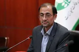 ۲۰ یوز پلنگ ایرانی در داخل کشور شناسایی شده‌اند/فرصت نجات یوز ایرانی را در طبیعت داریم