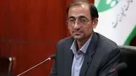 ۲۰ یوز پلنگ ایرانی در داخل کشور شناسایی شده‌اند/فرصت نجات یوز ایرانی را در طبیعت داریم
