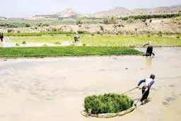 ریخت‌وپاش آب!
