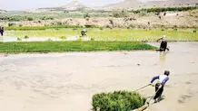 ریخت‌وپاش آب!
