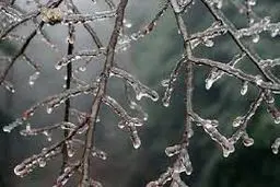 تداوم یخبندان در خراسان جنوبی برای دومین شب متوالی