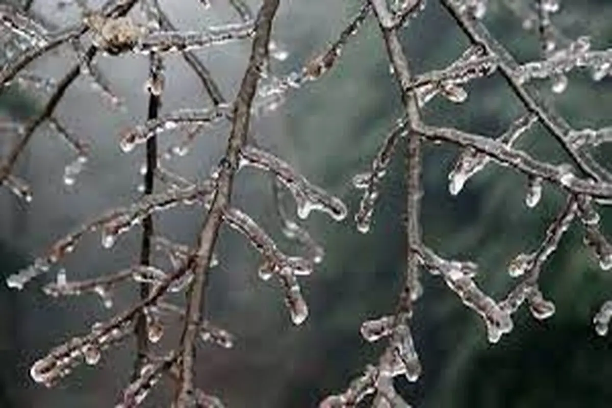 تداوم یخبندان در خراسان جنوبی برای دومین شب متوالی