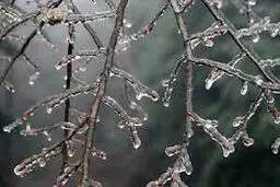 تداوم یخبندان در خراسان جنوبی برای دومین شب متوالی