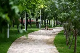ویدئوی جنجالی از شهردار منطقه ۱۵ تهران؛ بازدید میدانی یا نمایش تبلیغاتی؟ + ویدیو