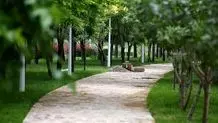 پاساژ علاءالدین تهران جابه‌جا می‌شود/ تصمیم جدید شهرداری برای انتقال یک مرکز تجاری پرخطر