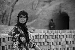 «دشت خاموش» به اکران آنلاین پیوست