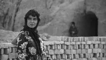 «دشت خاموش» به اکران آنلاین پیوست