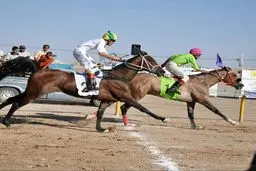 تصاویر جذاب از مسابقات اسب‌دوانی یزد