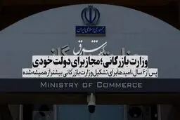 وزارت بازرگانی؛ مجاز برای دولت خودی