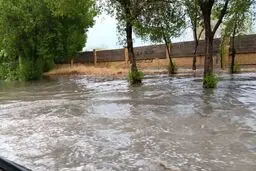 پیش بینی هوای هرمزگان فردا پنجشنبه 27 آذرماه/ هشدار نسبت به بارش‌های سنگین و کاهش دما