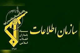 دستگیری اعضای ۲ شبکه سازمان یافته اخلال در نظام اقتصادی