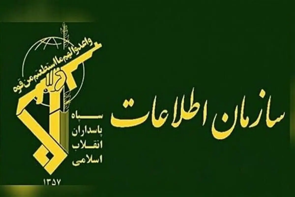 دستگیری اعضای ۲ شبکه سازمان یافته اخلال در نظام اقتصادی