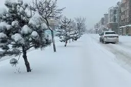 مرادی: آغاز بارش‌ برف در ۲ محور کوهستانی گیلان؛ تردد جریان دارد
