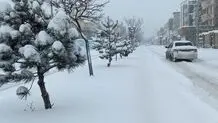 بارش برف شدید در مریوان + ویدئو