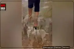 باران زیبای پاییزی در عسلویه