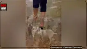 باران زیبای پاییزی در عسلویه