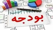 تنهایی نمی‌شود  بودجه قطع کرد

