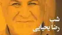 به بهانه «اکلکتیک»  نمایشگاه انفرادی رضا یحیایی  در گالری فریا اسپیناس

