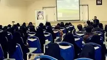 نتایج کنکور ۱۴۰۴ اعلام شد +  لینک مشاهده نتایج در سایت سنجش