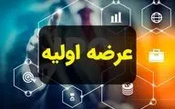 جزییات یک عرضه اولیه در بورس