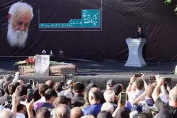 وداع با سایه
