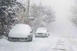 بارش برف و باران در محورهای شمالی از فردا 3 بهمن 1402
