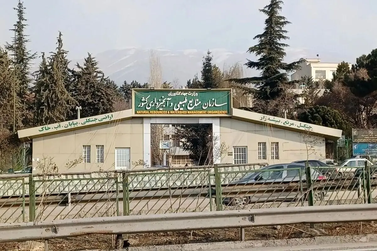 جزییات حمله به سازمان منابع طبیعی اعلام شد/ تاکنون پیکر ۸ شهید کشف شده است 