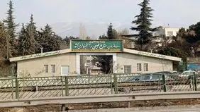 جزییات حمله به سازمان منابع طبیعی اعلام شد/ تاکنون پیکر ۸ شهید کشف شده است 