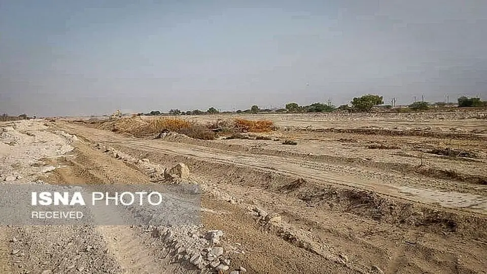 قطع درختان کهوری به دادگستری رفت 