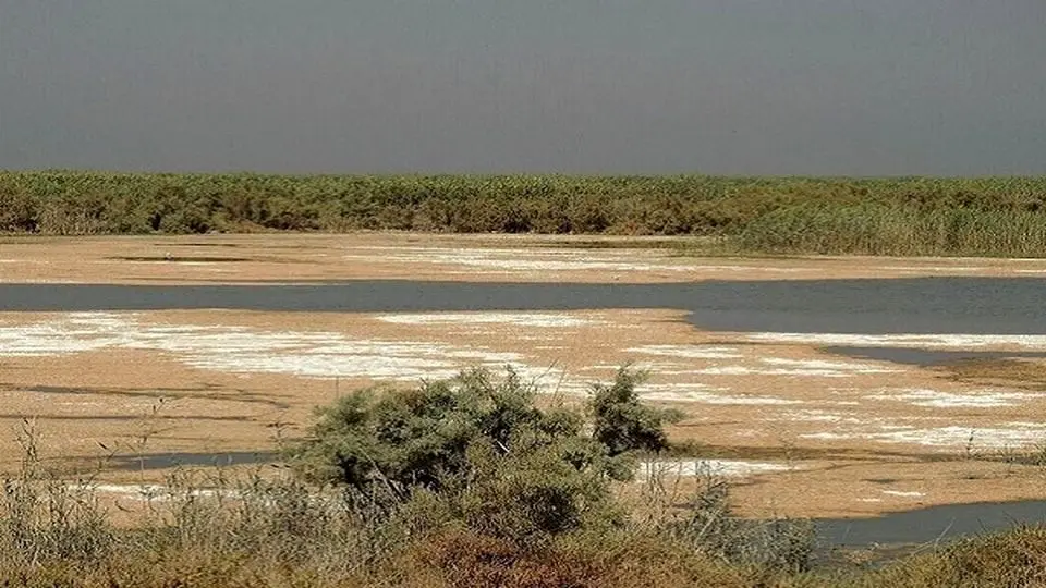 دود آتش‌ سوزی هورالعظیم باز هم دامن خوزستان را گرفت

