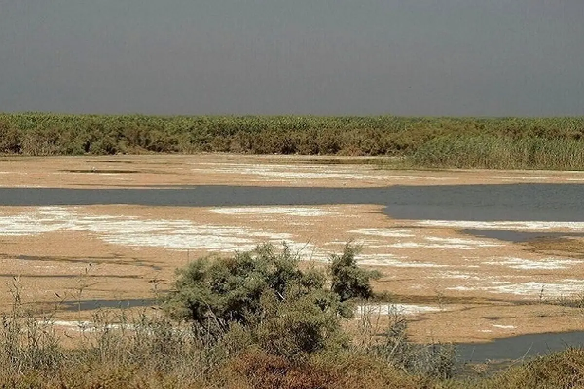 دود آتش‌ سوزی هورالعظیم باز هم دامن خوزستان را گرفت


