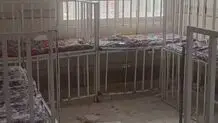 مرکز نگهداری معلولان در فردیس آسیب دید 