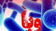 نگرانی از افزایش موارد وبا در آستانه پاییز/ آماده‌باش دانشگاه‌ها تا پایان مهرماه

