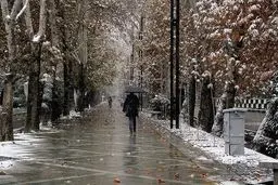 بارش باران و برف در راه تهران 
