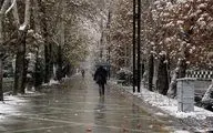 بارش باران و برف در راه تهران 