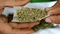 «گل» سومین مخدر مصرفی در کشور