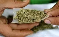 «گل» سومین مخدر مصرفی در کشور