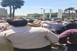 مالکان شهرک زیتون در پاستور تجمع کردند+ویدئو

