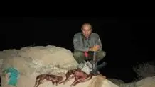 شهادت محیط‌بان خاییزی در درگیری با شکارچیان غیرمجاز 