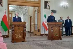 أمیر عبداللهیان: على اوروبا وقف مسارها غیر البناء
